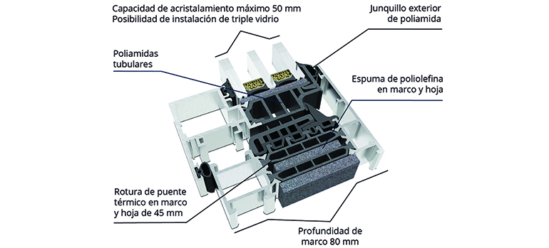 Cortizo 2