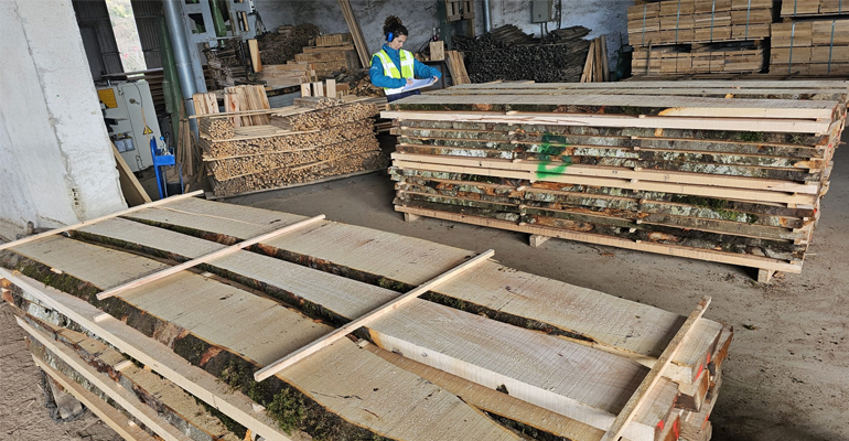 Cesefor abre gratis a la industria del norte el mercado de la madera estructural de haya