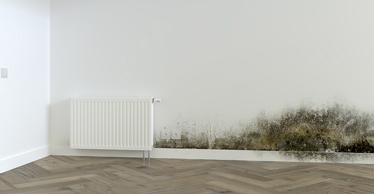 Humedades en viviendas: causas, soluciones y el papel clave de las empresas especializadas