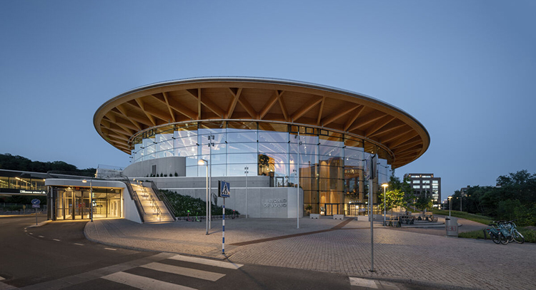 Timber intelligence in every dimension