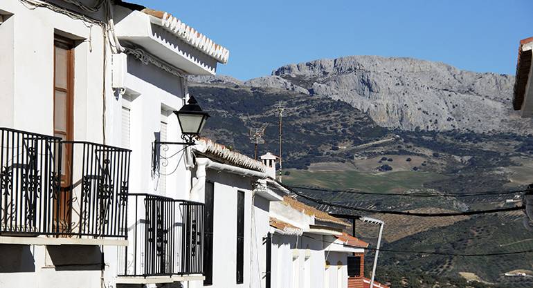 VIVIENDA MALAGA