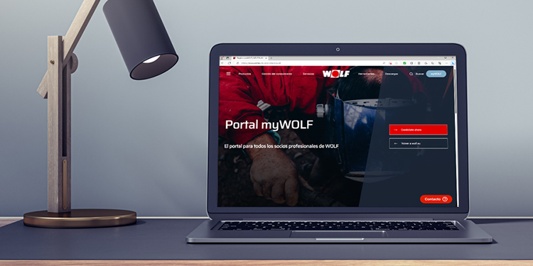 Wolf