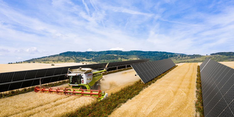 Parque solar y explotación agricola