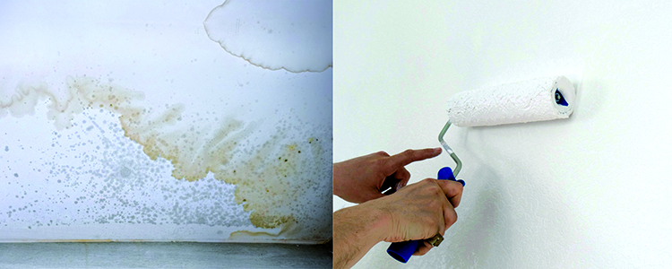 Productos adecuados para soportes interiores sometidos a un grado  humedad interna superior al habitual