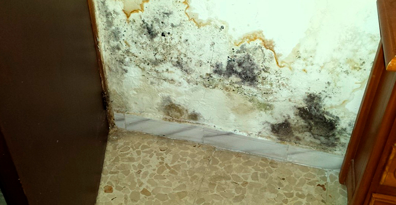 Riesgo humedades 2 - Infoconstruccion