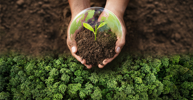 Soler & Palau obtiene por segundo año consecutivo la medalla Gold de EcoVadis