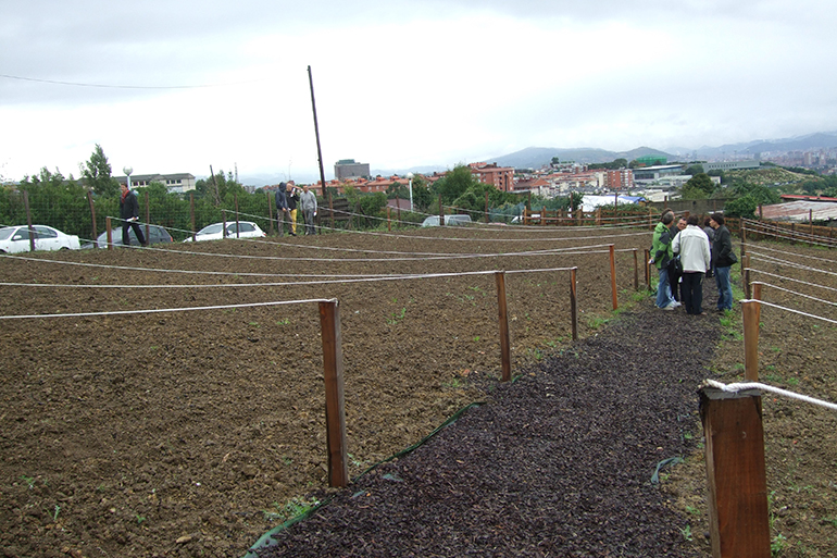 huertos ecologicos santurtzi