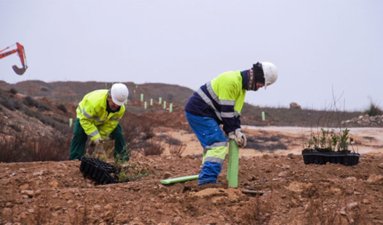 Canteras y Biodiversidad